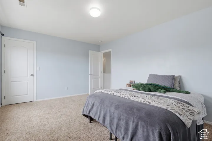 Neutral-toned carpeted flooring, two interior panel doors, and a flush-mount ceiling light fixture