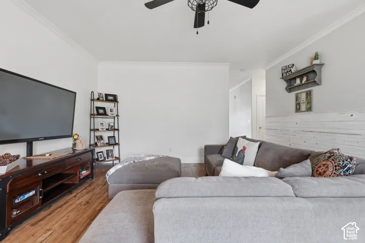 Living area featuring wood-finish flooring, horizontal shiplap wall detailing, crown molding, and a modern ceiling fan with a cage-style light fixture