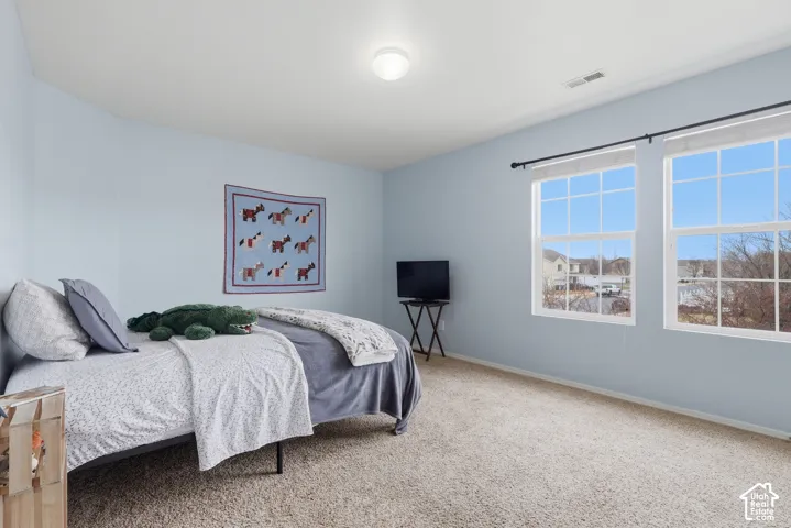 Neutral-toned walls, wall-to-wall carpeting, and double-pane windows with muntin dividers