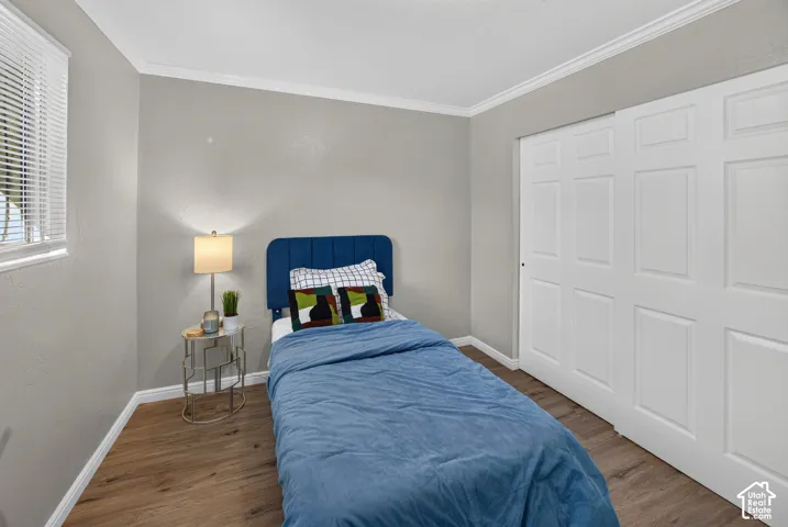 Neutral-toned walls, wood-finish flooring, crown molding, and double-panel sliding closet doors