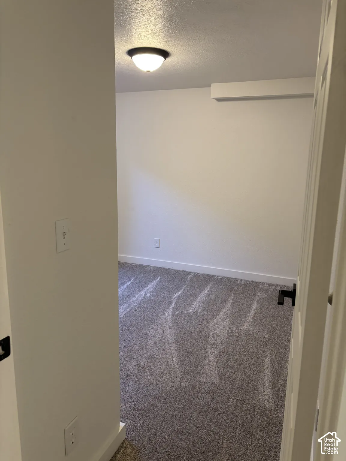 Neutral-toned carpeting, flush-mount ceiling light fixture, and interior doorway with black hardware