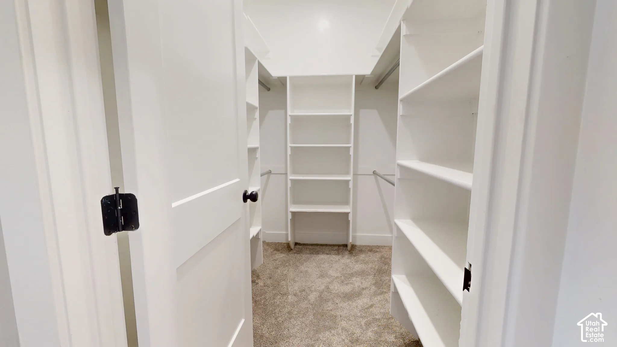 Walk-in closet featuring white built-in shelving, integrated hanging rods, and carpeted flooring