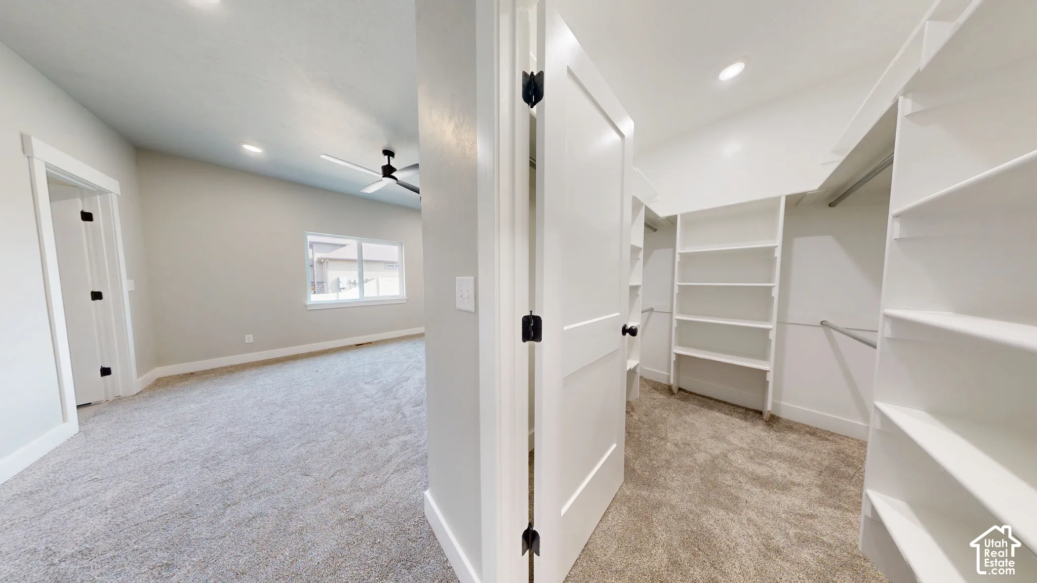 Walk-in closet featuring white built-in shelving and hanging rods, carpeted flooring, neutral wall paint, and a ceiling-mounted fan in the surrounding room