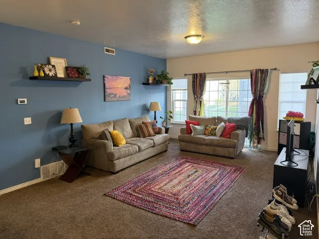 Living area featuring a blue accent wall, dual wall-mounted floating shelves, carpeted flooring, and glass sliding doors