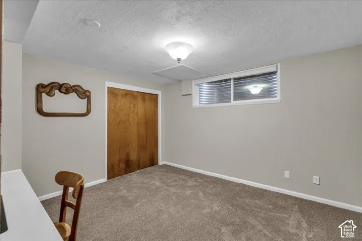 Neutral-toned interior space featuring wall-to-wall carpeting, wood-finish bi-fold closet doors, a ceiling-mounted light fixture, and an egress window with a corrugated metal well