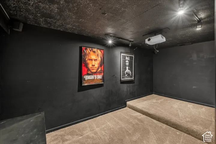 Enclosed space featuring carpeted flooring, tiered platform seating, ceiling-mounted track lighting, and a mounted projection system