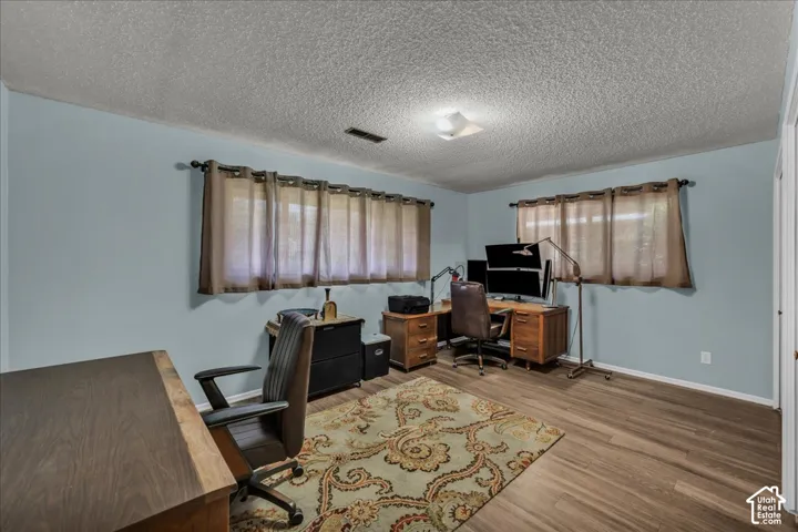 Room featuring wood-finish flooring, dual windows with curtain rods, and a central ceiling-mounted light fixture