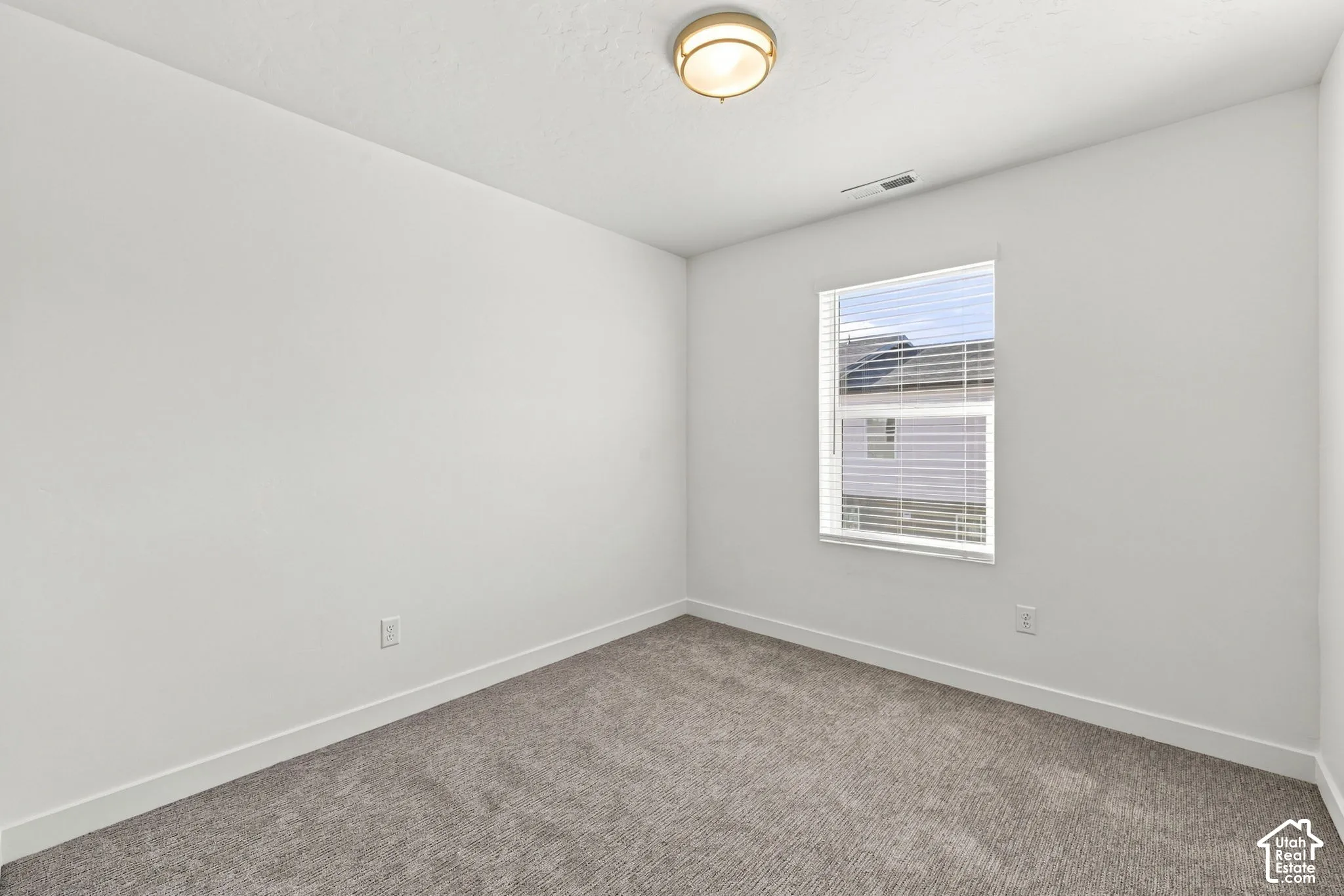 Neutral-toned wall-to-wall carpeting, single-pane window with horizontal blinds, and flush-mount overhead lighting