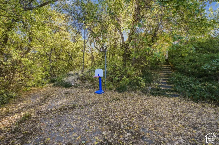 Wooded backyard featuring mature trees and a concrete staircase