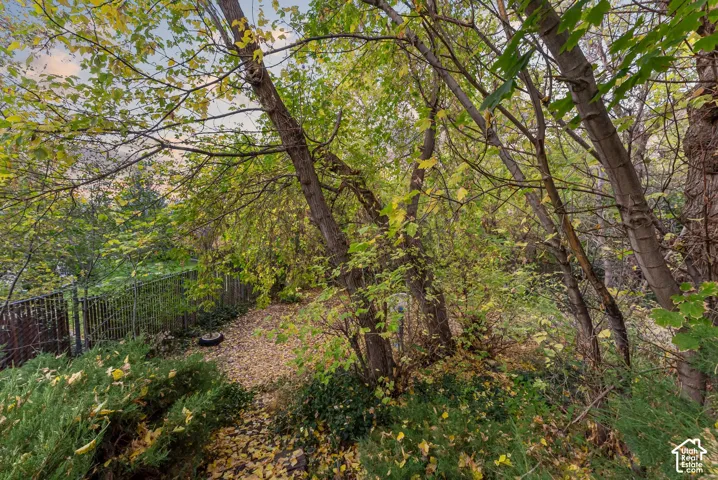 HUGE .39 acre lot features a secluded outdoor space with mature deciduous trees, dense foliage, and metal perimeter fencing. Valley/City views are possible!