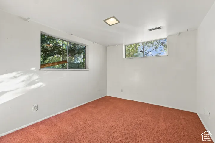 Interior room featuring neutral wall finishes, carpet flooring, two rectangular windows, and a flush-mount ceiling light fixture