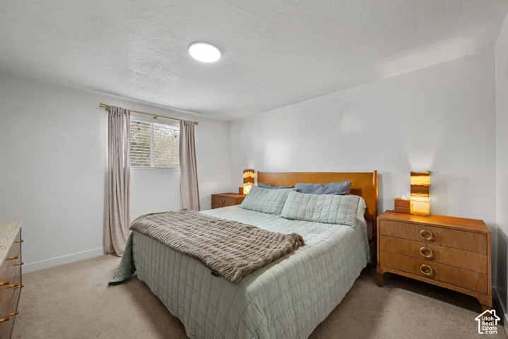 Neutral-toned carpeted flooring, white wall finishes, and a flush-mount ceiling light fixture