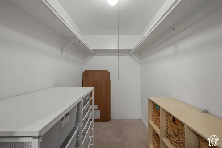 Walk-in closet featuring dual-sided hanging rods, neutral carpeting, and overhead lighting
