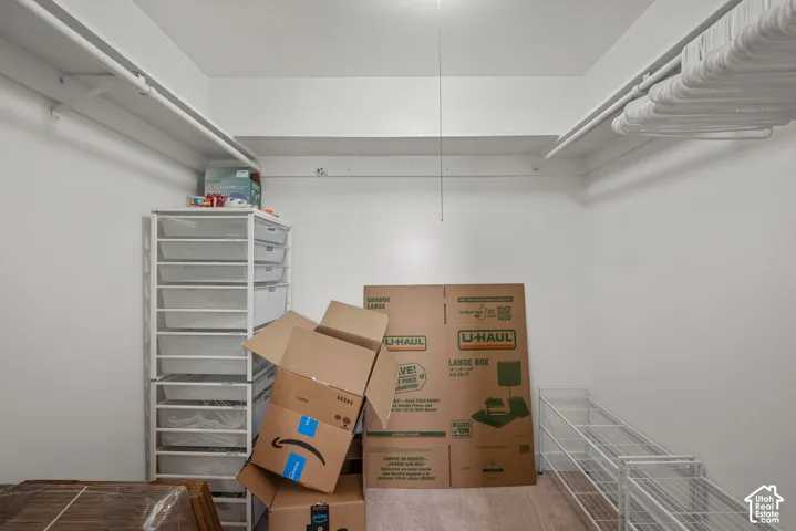 Walk-in storage space featuring dual-tier white wire shelving and neutral carpeting