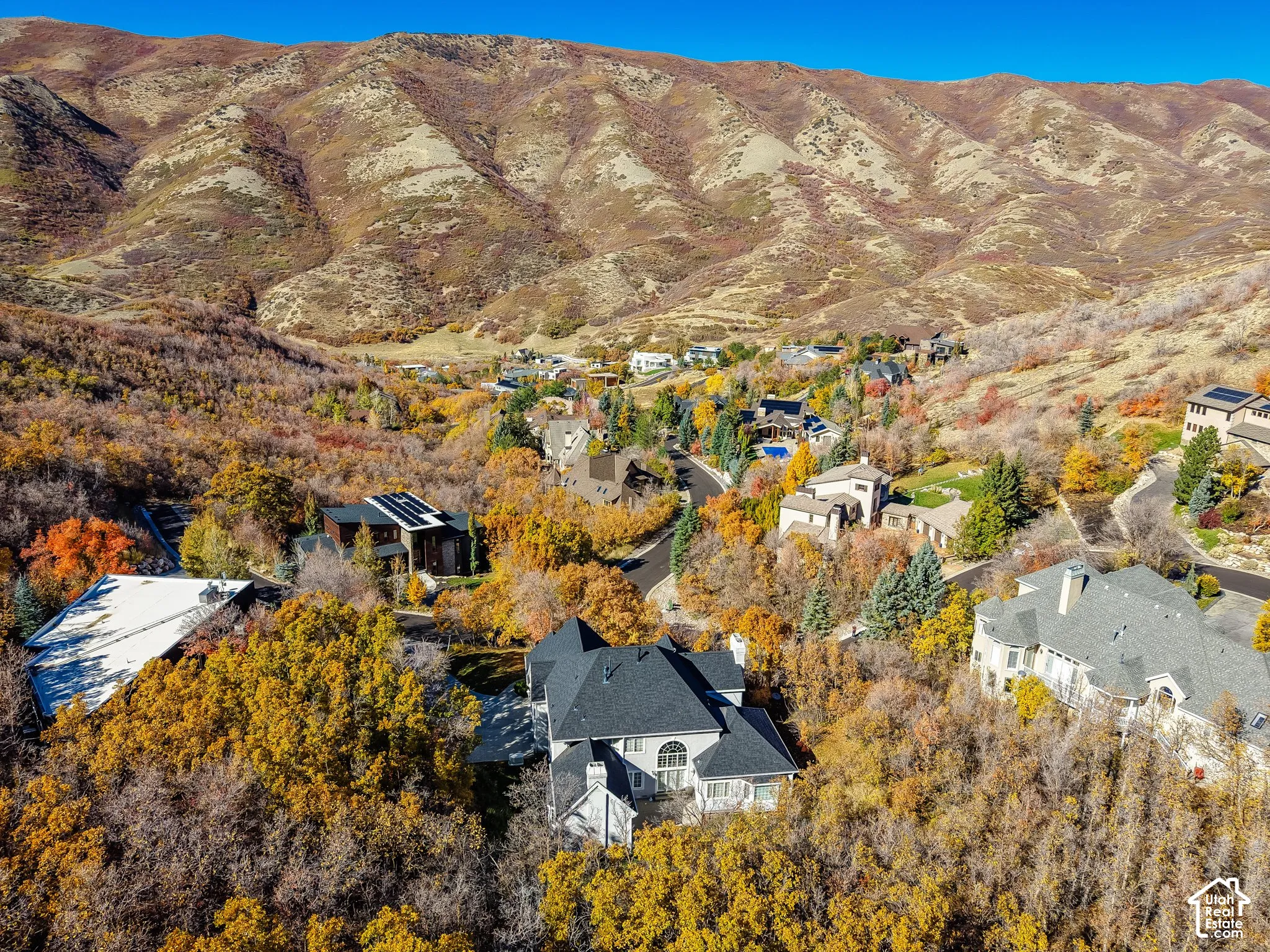 Aerial perspective of residential properties integrated into a mountainous hillside landscape featuring dense, mature deciduous trees