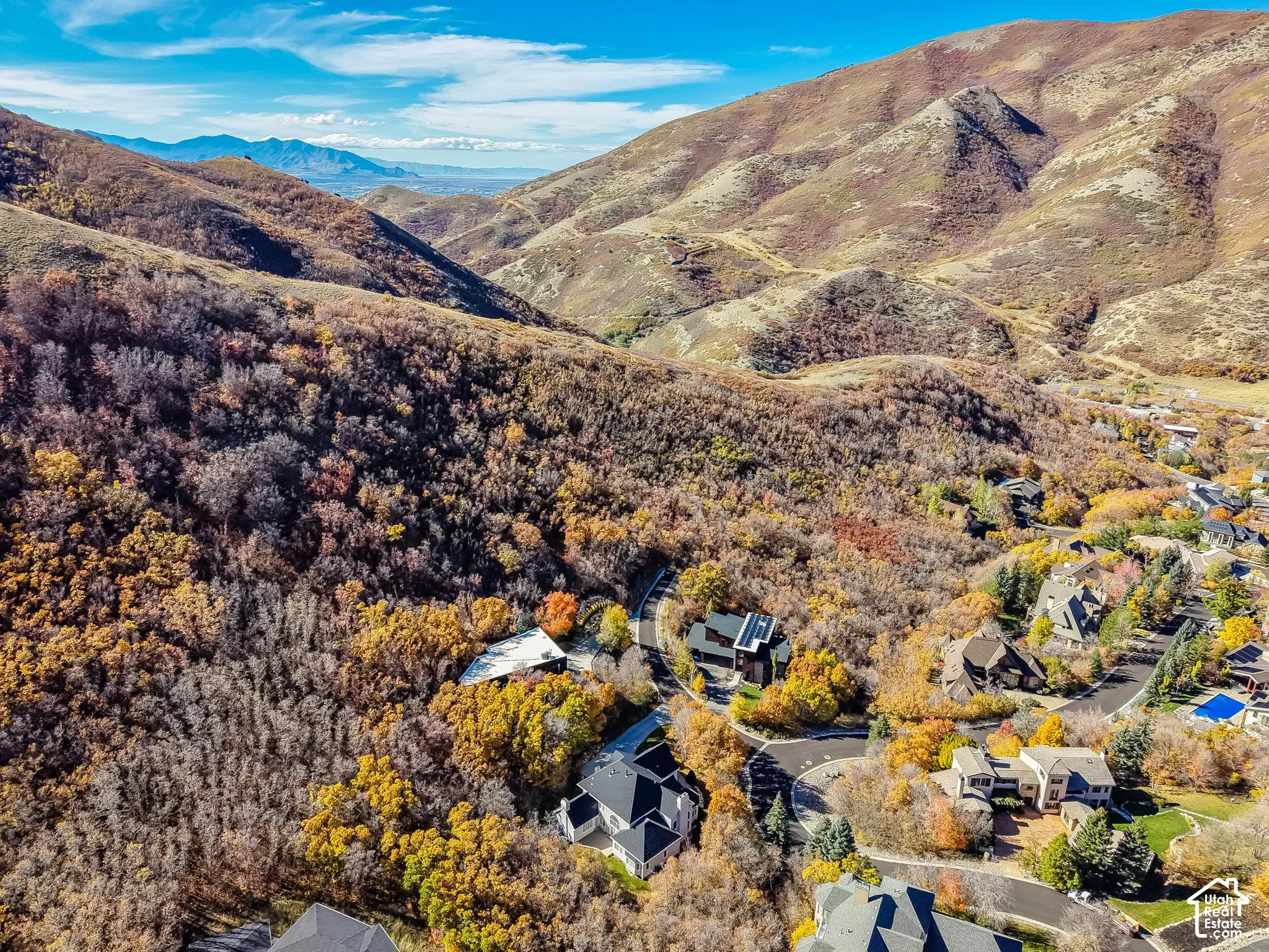 Aerial perspective of a hillside property featuring dense mature foliage and rugged mountain terrain