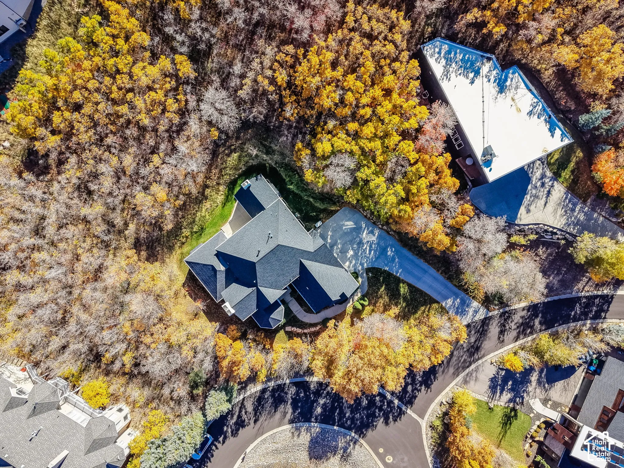 Aerial perspective of a multi-gabled residence featuring an asphalt shingle roof, paved driveway, and established woodland surroundings