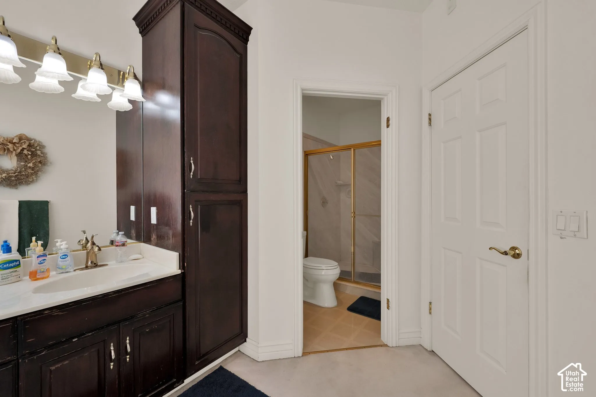 Dark wood cabinetry including a floor-to-ceiling storage tower, oval undermount sink, multi-light vanity fixture, and six-panel interior door