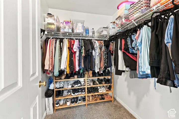 Walk-in closet featuring wall-to-wall carpeting and upper wire shelving