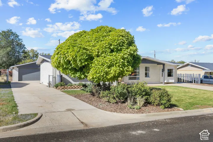 Single-story residence featuring a painted brick exterior, attached garage, concrete driveway, and established landscape
