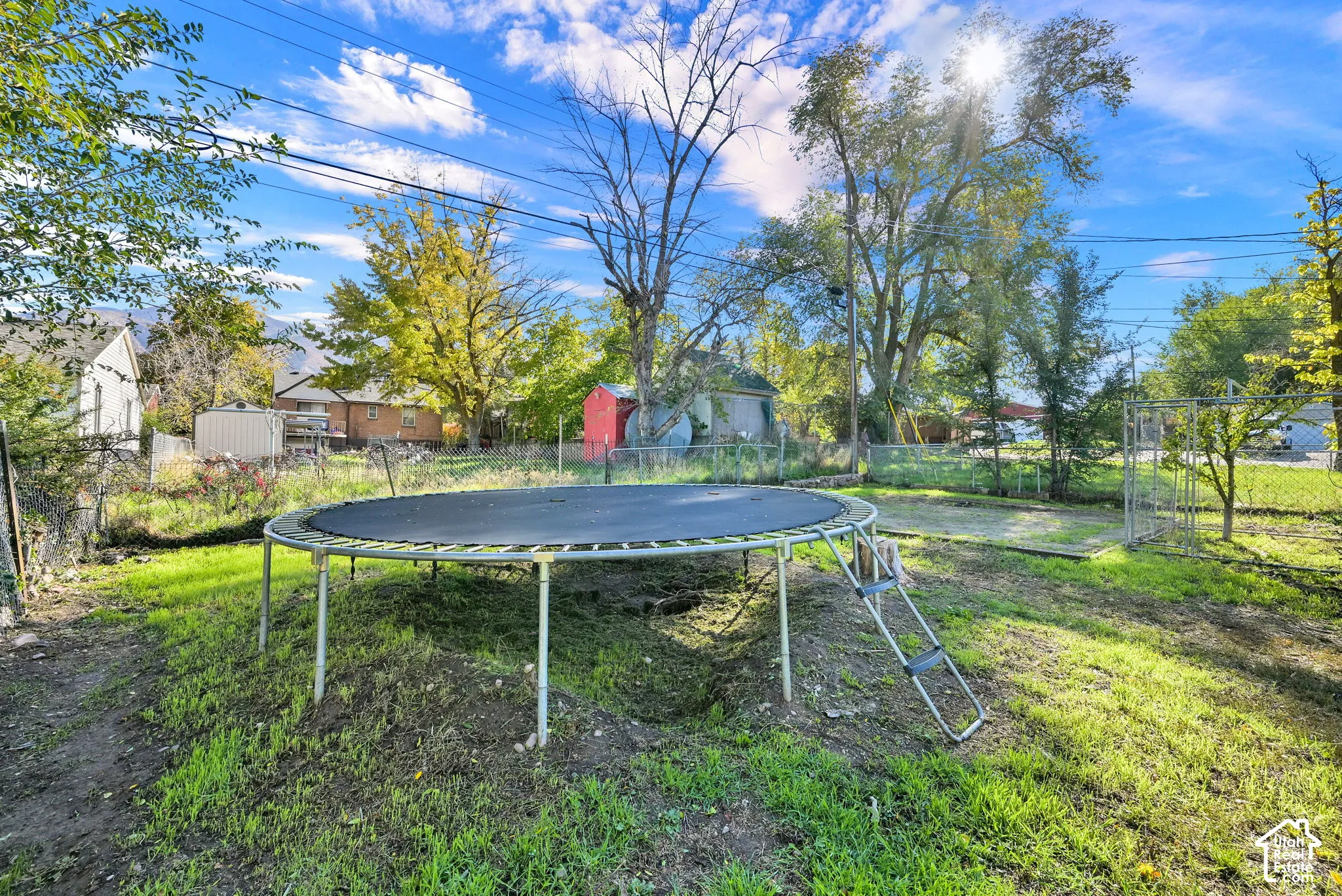 Backyard featuring a chain-link fence, mature trees, and a detached metal storage structure