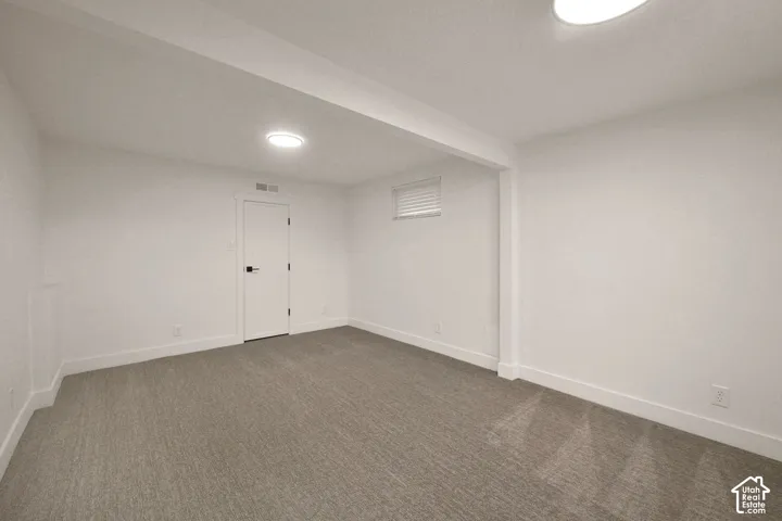 Interior room featuring neutral wall-to-wall carpeting, white walls, two flush-mount ceiling lights, and a single interior door with matte black hardware