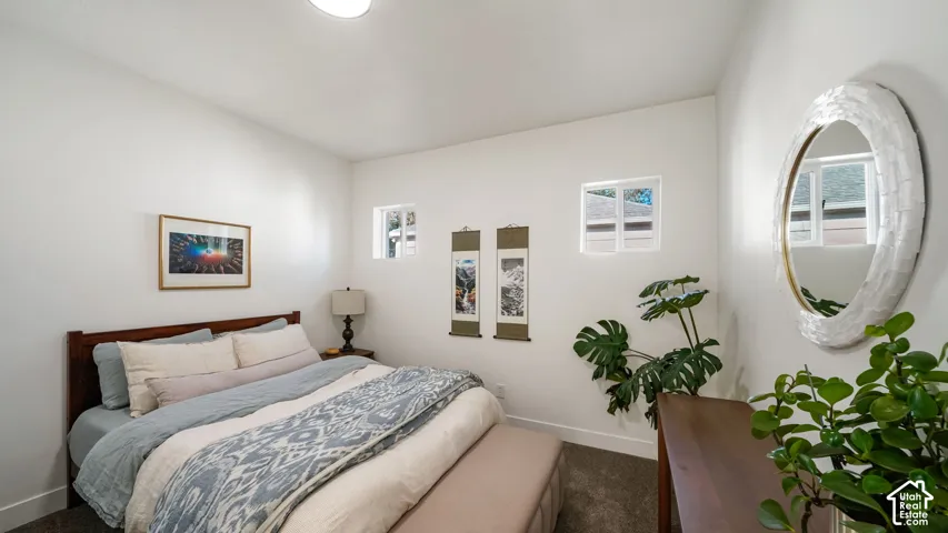 Neutral interior space featuring high-pile carpeting, neutral wall color, and two square high-set windows