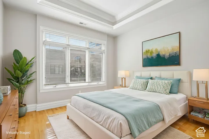 Tray ceiling, large multi-pane window, and light-toned wood-finish flooring