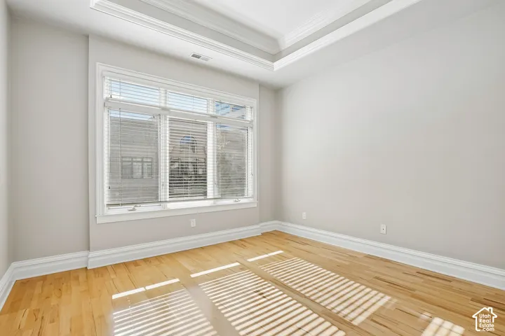 Room featuring a tray ceiling, wood-finish flooring, and a multi-panel window configuration with horizontal blinds