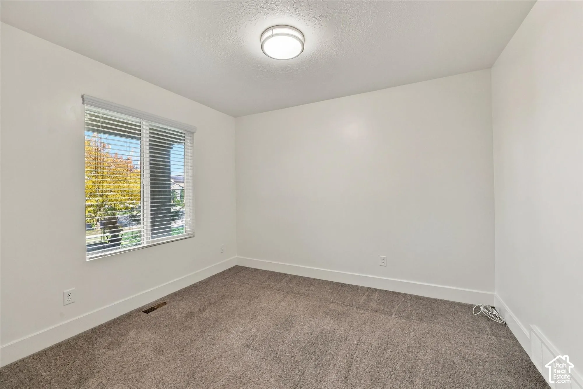 Neutral interior featuring wall-to-wall carpeting, a flush-mount overhead light fixture, and a window with horizontal blinds