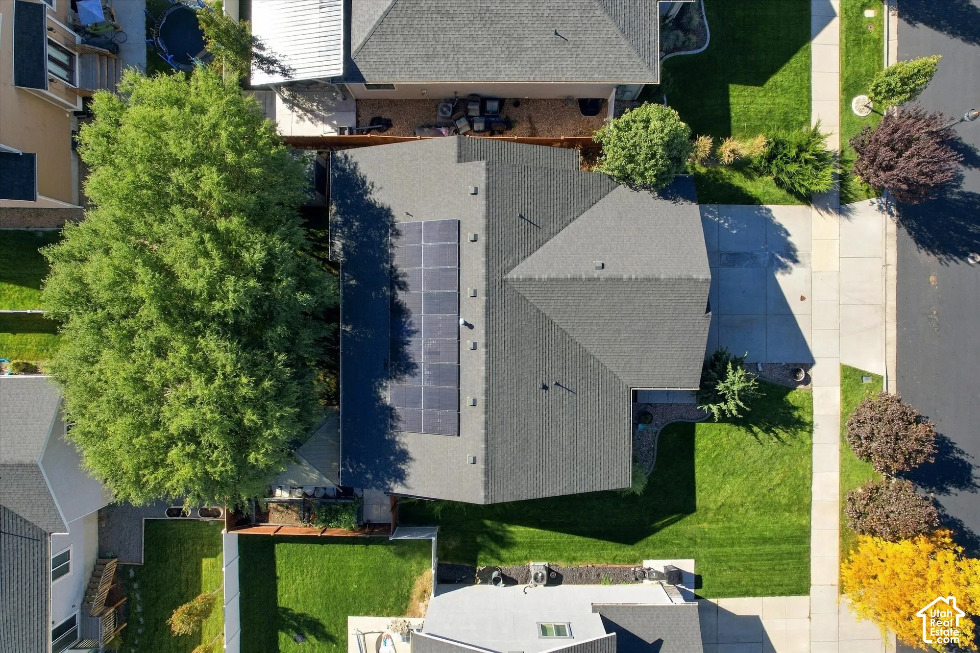 Aerial view featuring a roof-mounted solar panel system, asphalt shingled roofing, and a manicured lawn