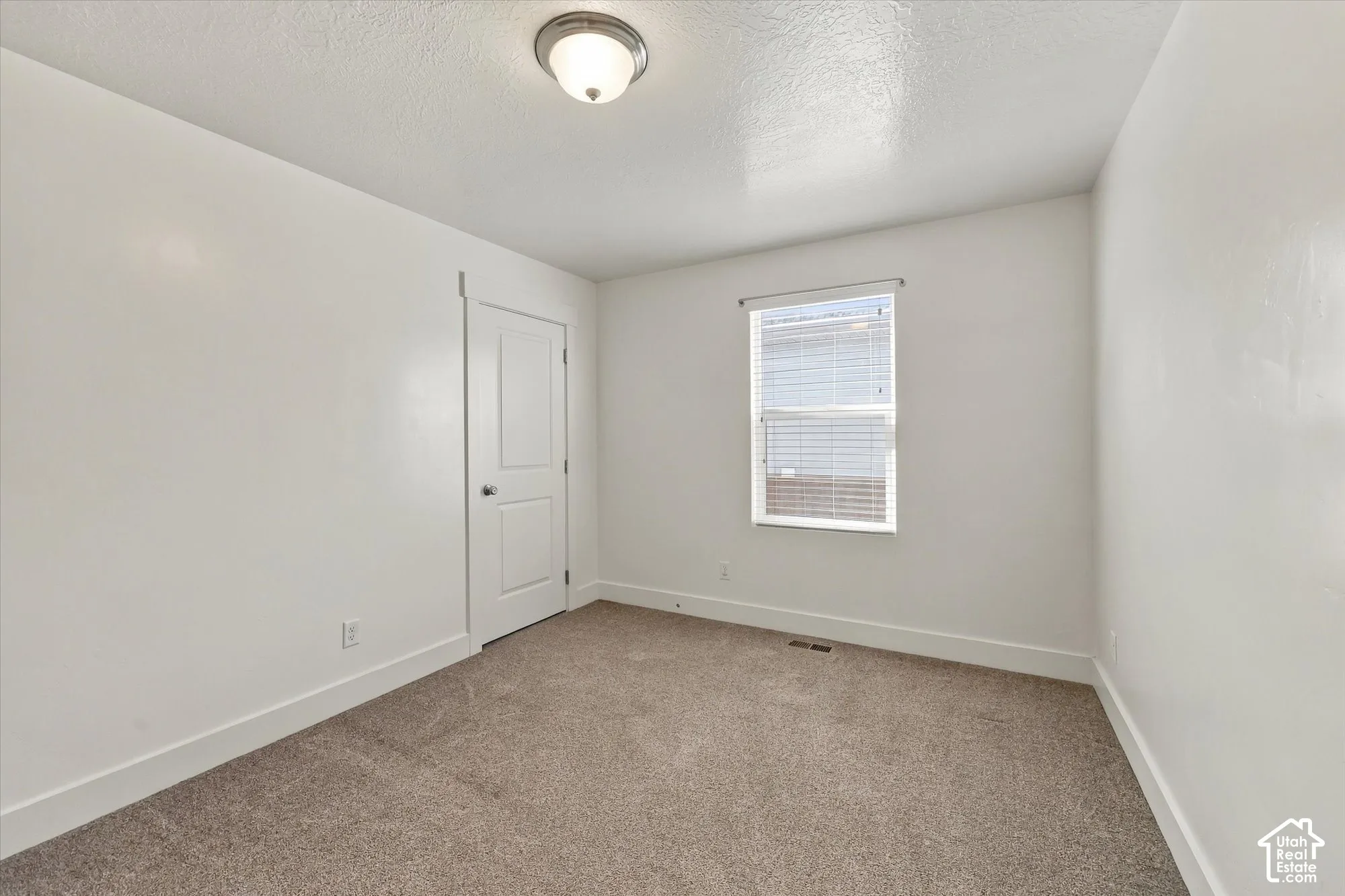Neutral-toned carpeting, smooth-finish walls, two-panel interior door, and a central ceiling-mounted light fixture