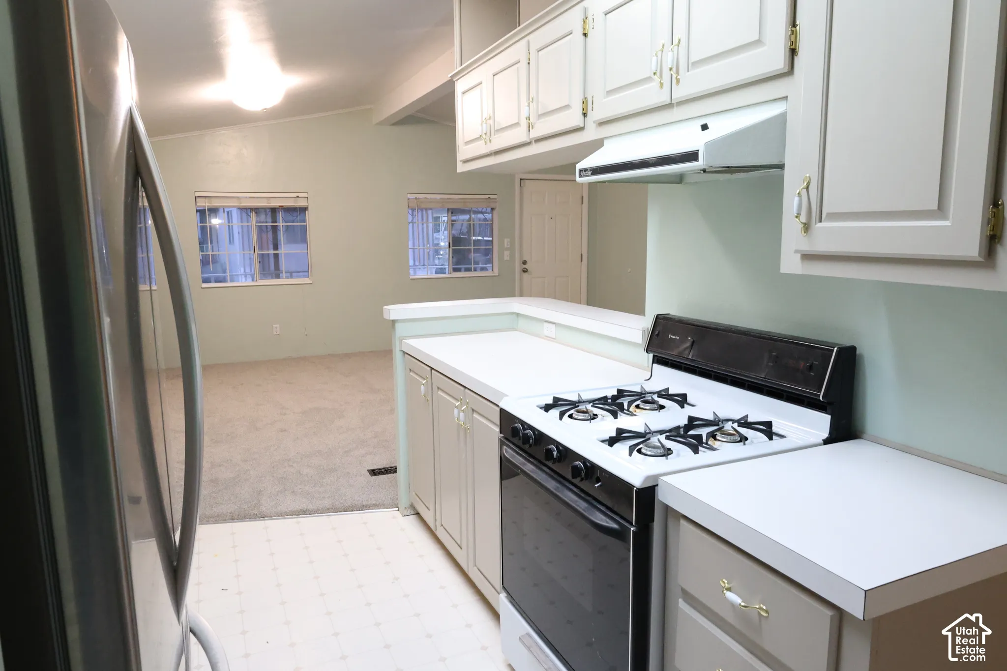 Kitchen integrated range hood, and a gas range
