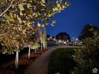 Concrete walkway lined with mature deciduous trees and integrated landscape lighting