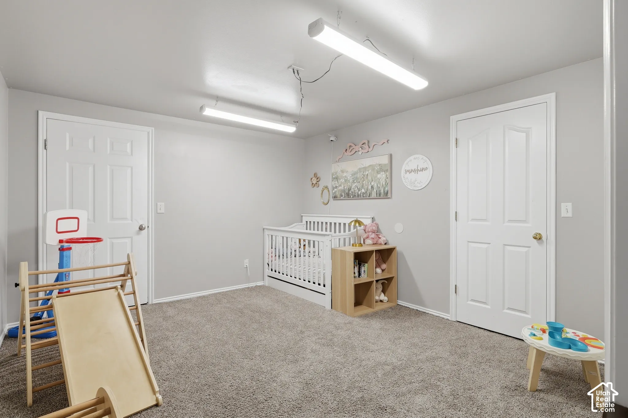Neutral-toned carpet flooring, two interior doors with molded panel detailing, and linear LED light fixtures