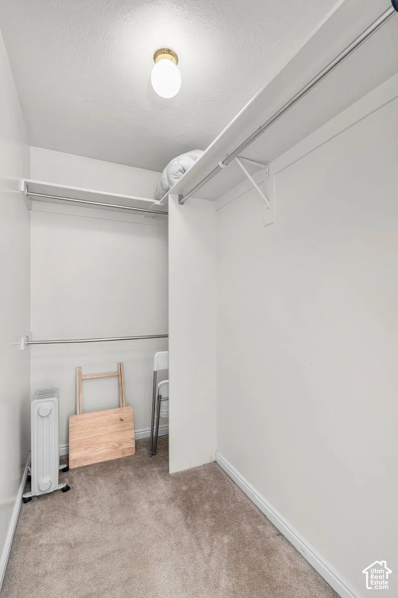 Walk-in closet featuring carpeted flooring, built-in shelving, dual-tier hanging rods, and a ceiling-mounted light fixture