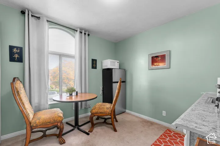 Arched window, stone-finish countertop, and carpeted flooring
