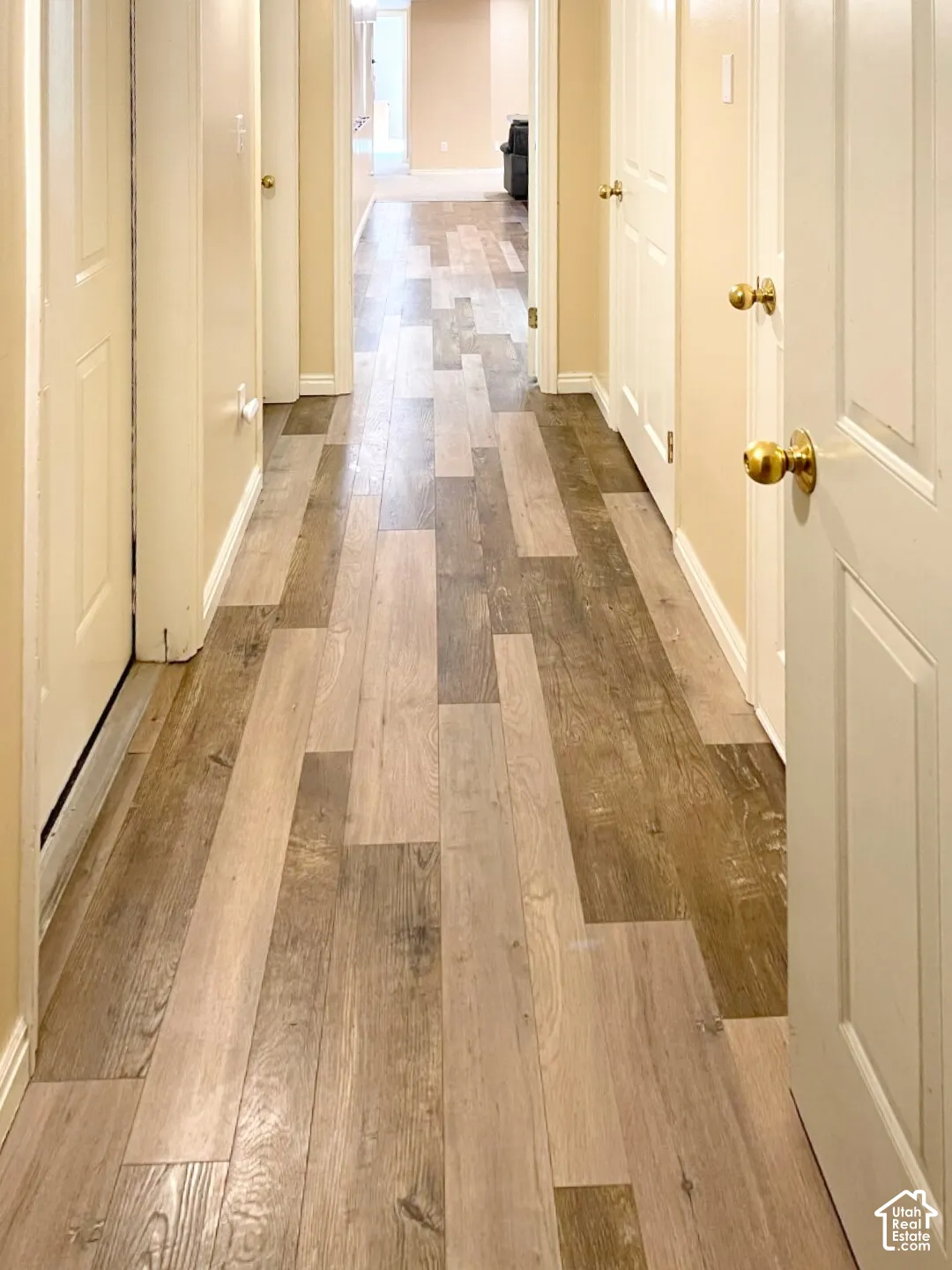 Hallway featuring wood-finish flooring and multiple paneled doors with brass-toned hardware