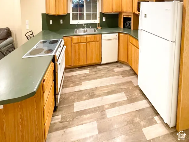 Kitchen featuring wood cabinetry, solid-surface countertops, wood-finish flooring, a double-basin sink, and integrated electric cooktop