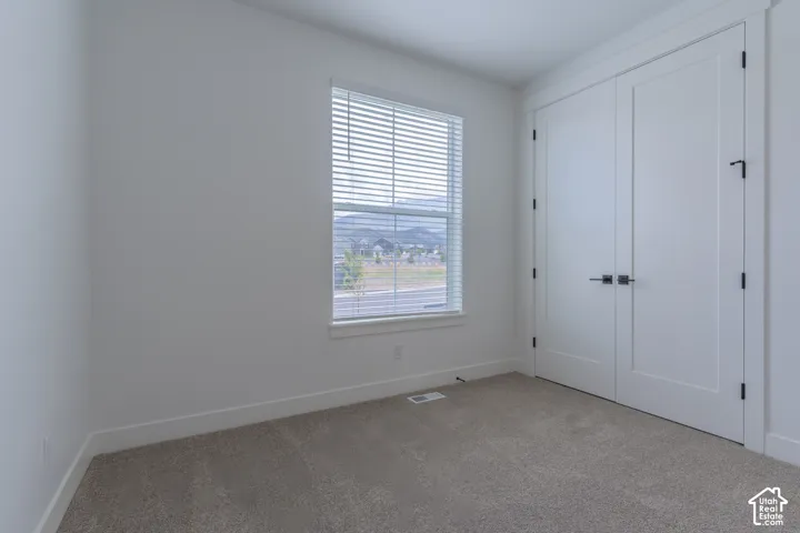 Neutral-toned wall-to-wall carpeting, double doors with matte black hardware, and a single-hung window with blinds