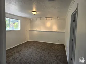 Room featuring wall-to-wall carpeting, a built-in recessed display ledge, adjustable track lighting, and a single-pane sliding window