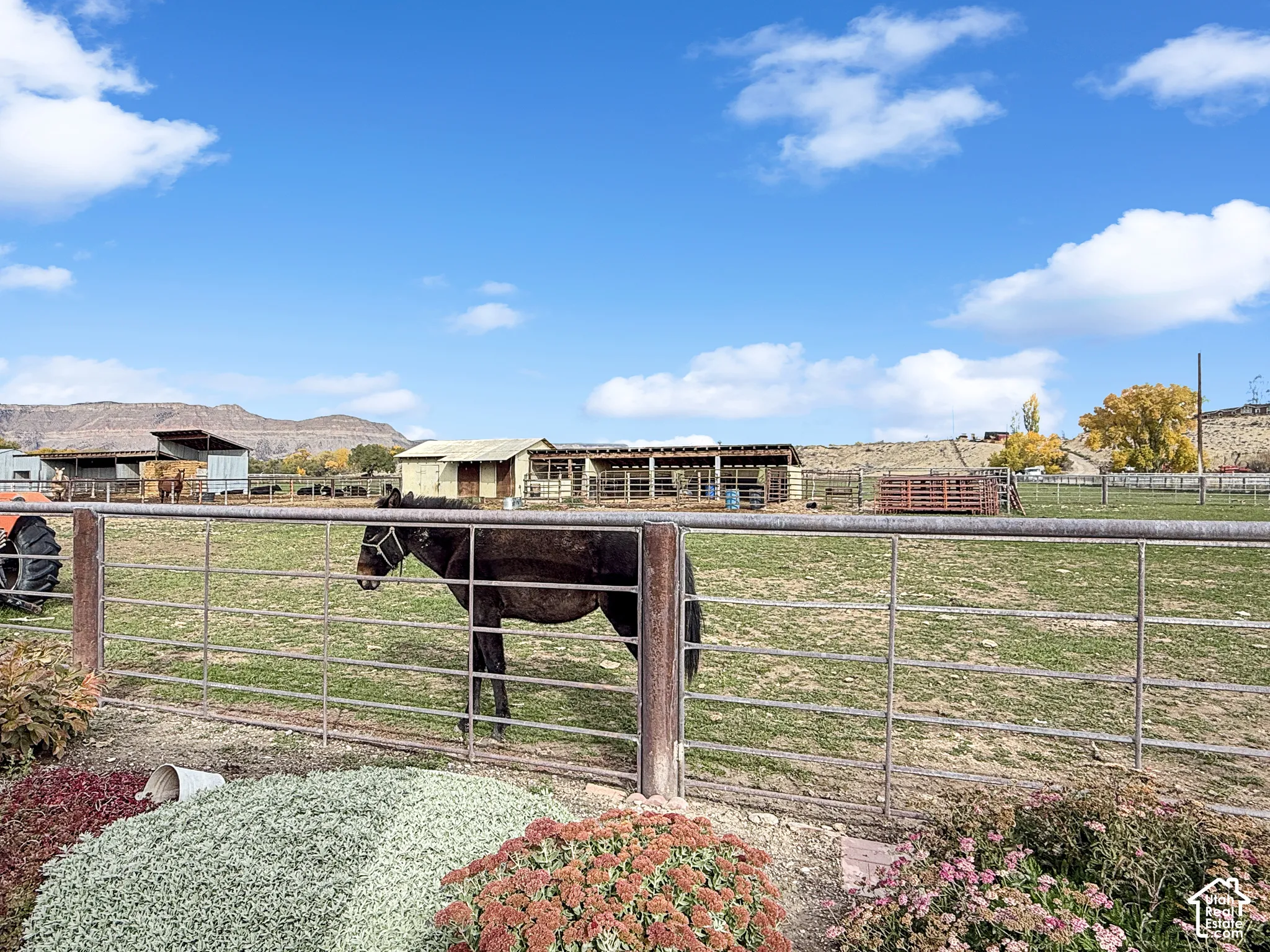 Expansive acreage featuring metal perimeter fencing, covered stall structures, and prominent mountain backdrops