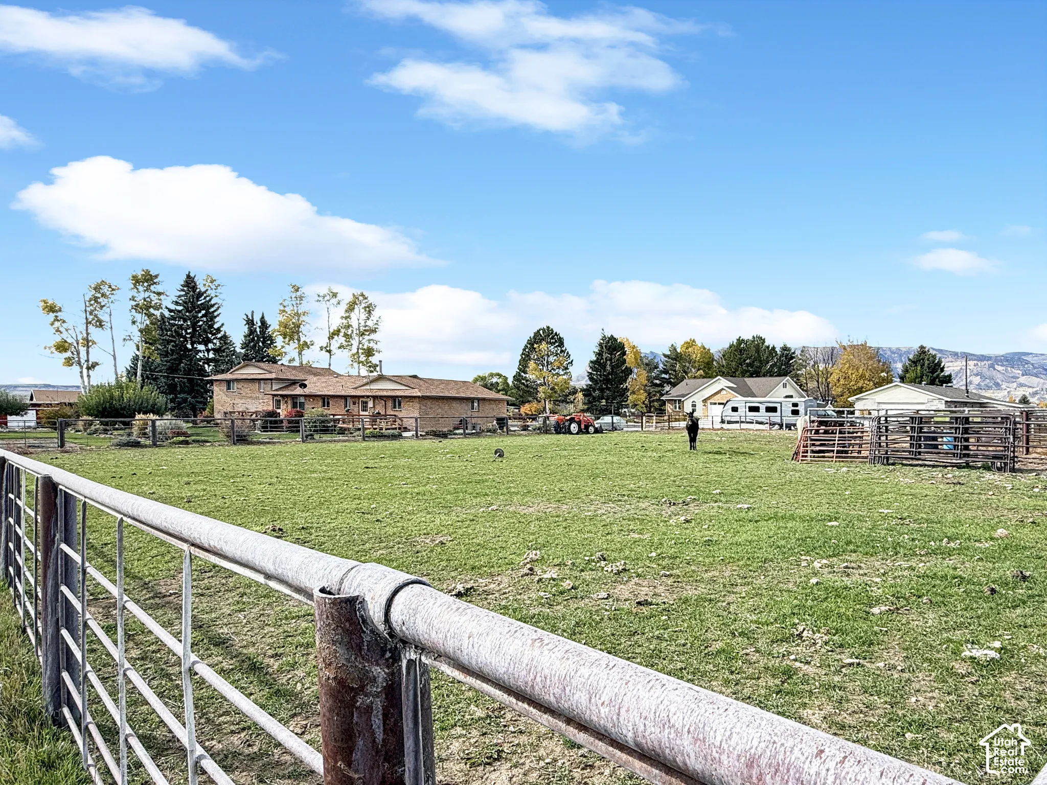 Expansive fenced pasture featuring metal panel enclosures, a grassy terrain, mature trees, and mountainous topography in the distance