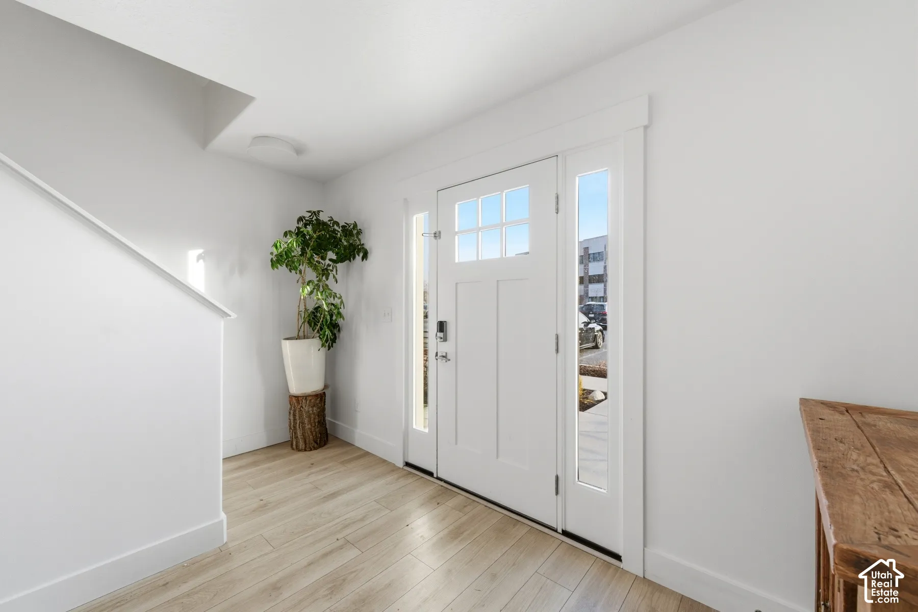 Entryway featuring a white door with a six-pane window, dual side-light windows, and wood-finish flooring