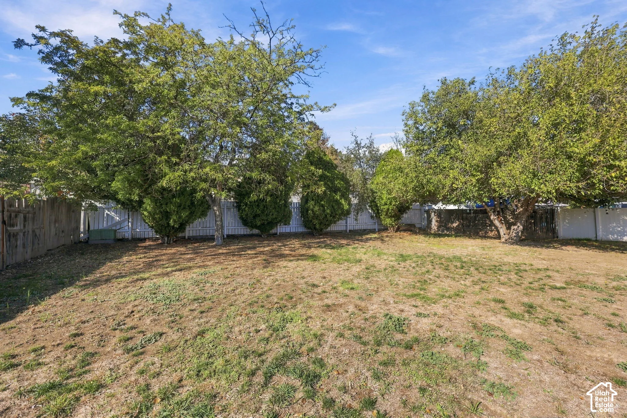 Fenced backyard with lawn and mature trees