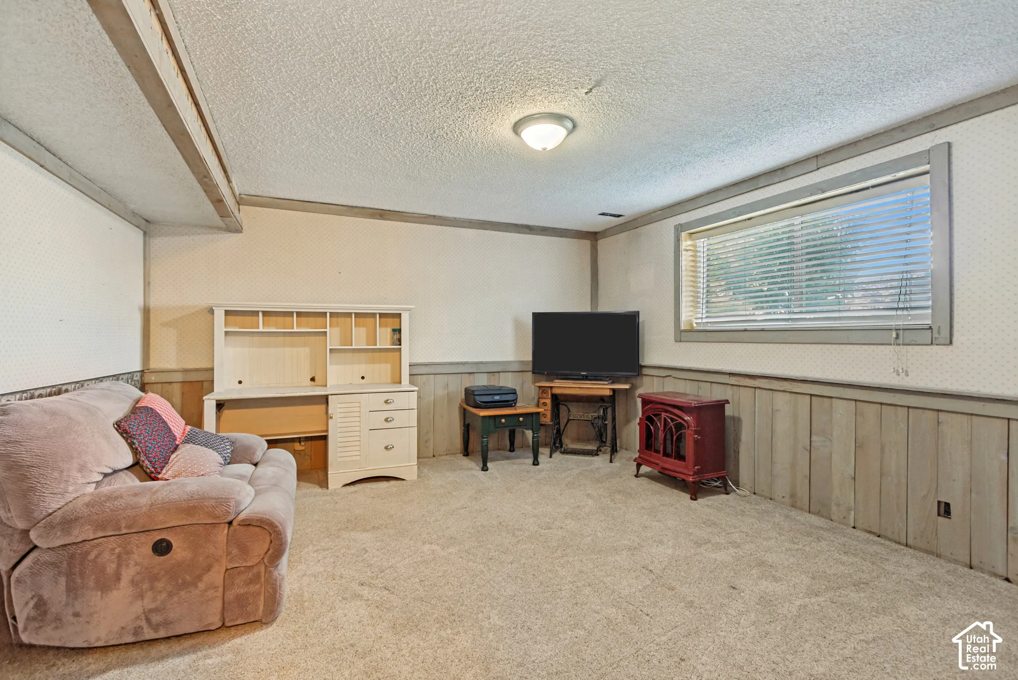 Neutral-toned carpeting, horizontal wood wainscoting, flush-mount ceiling lighting, and a window with horizontal blinds