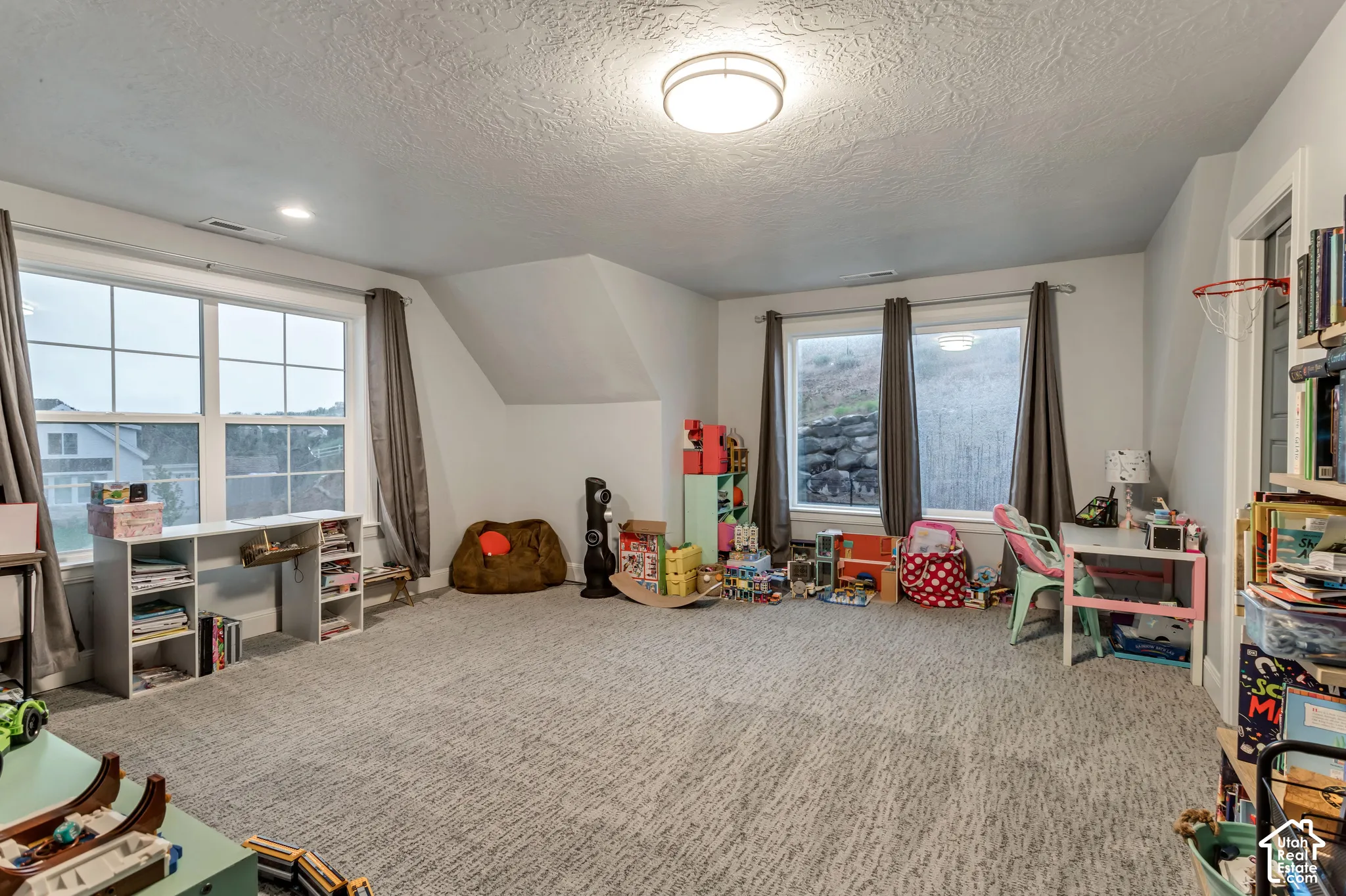 Spacious interior featuring neutral wall tones, wall-to-wall carpeting, multiple grid-pattern windows, and a flush-mount overhead light fixture