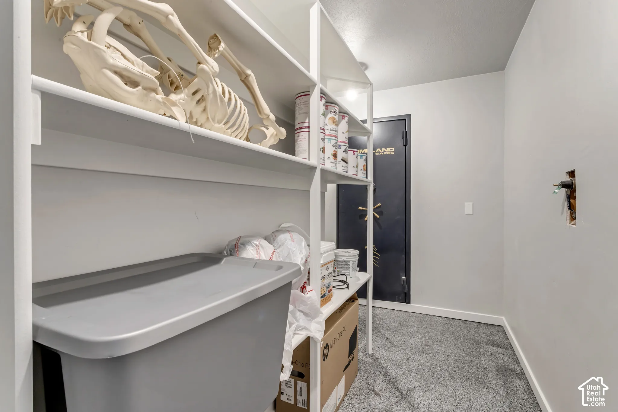 Storage space featuring white metal shelving units and a reinforced steel security door