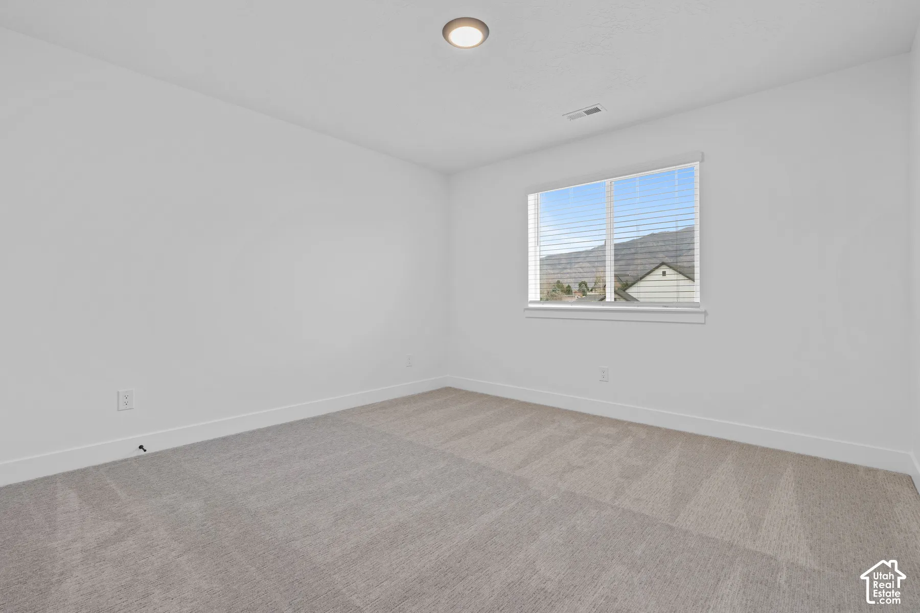 Interior space featuring neutral-toned carpeting, crisp white walls, a flush-mount ceiling light, and a double-pane window with mountain scenery