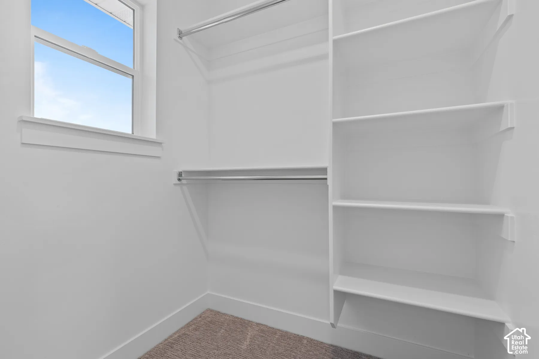 Walk-in closet featuring white built-in shelving, dual-level metal hanging rods, neutral carpeting, and a single-hung window